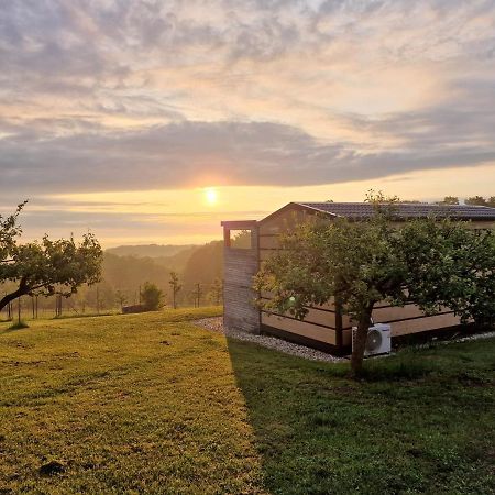拉登齐Vinea Panonika Wine & Mind Retreat别墅 外观 照片