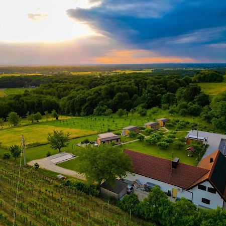 拉登齐Vinea Panonika Wine & Mind Retreat别墅 外观 照片