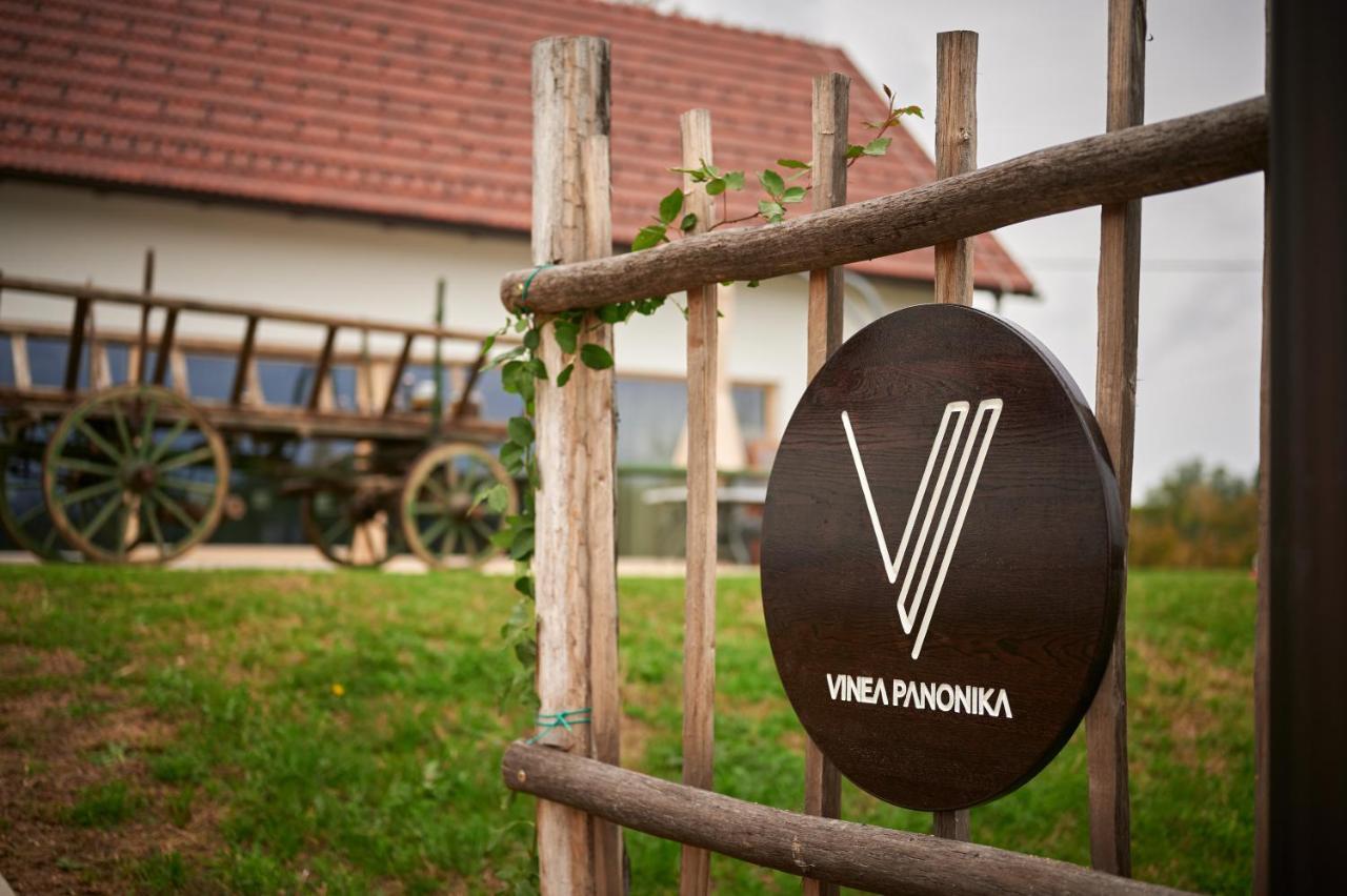 拉登齐Vinea Panonika Wine & Mind Retreat别墅 外观 照片