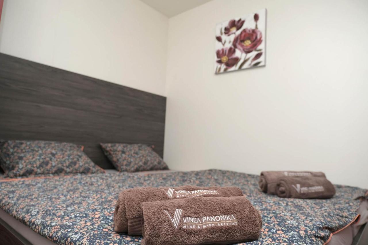 拉登齐Vinea Panonika Wine & Mind Retreat别墅 外观 照片