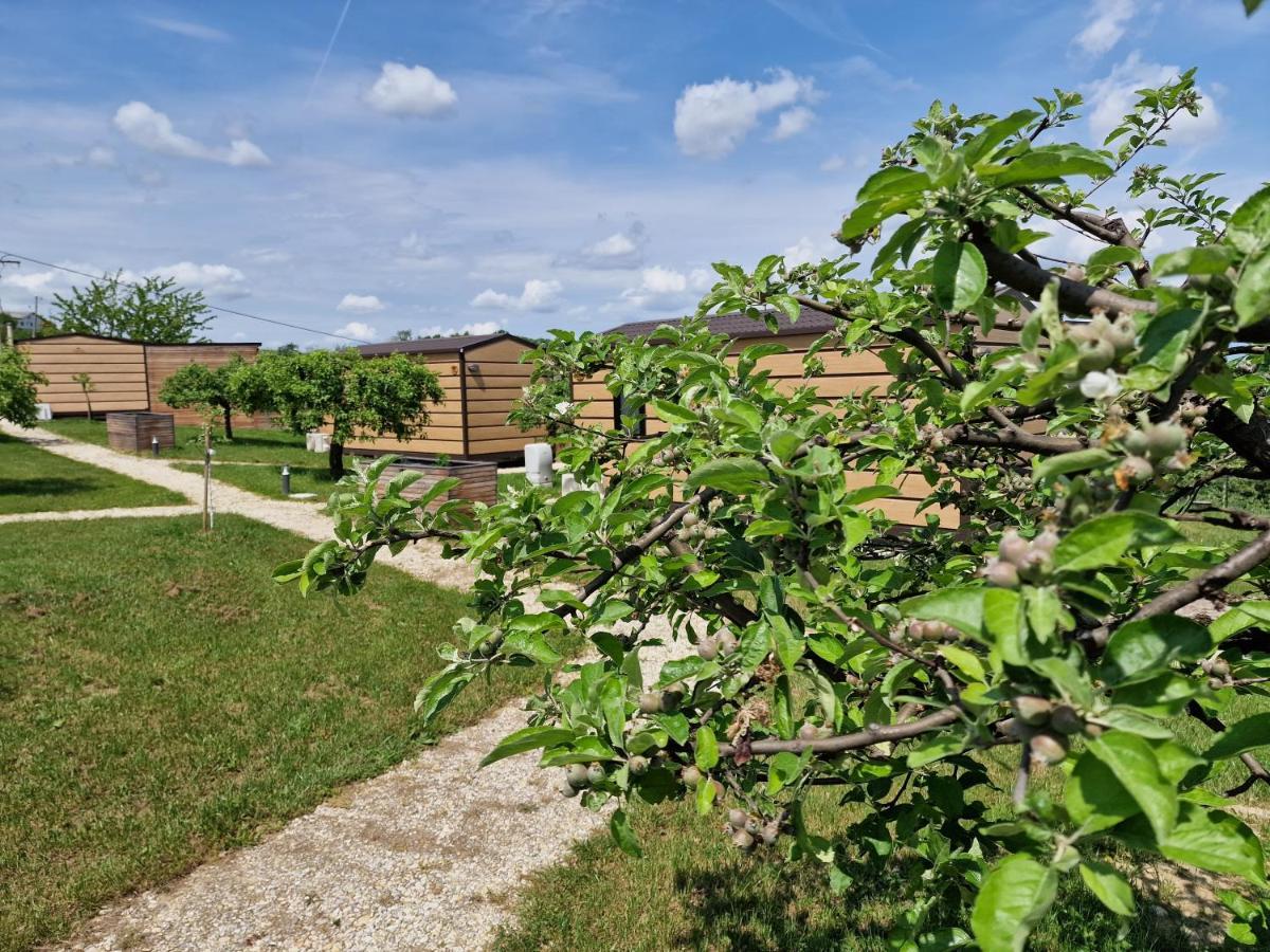 拉登齐Vinea Panonika Wine & Mind Retreat别墅 外观 照片
