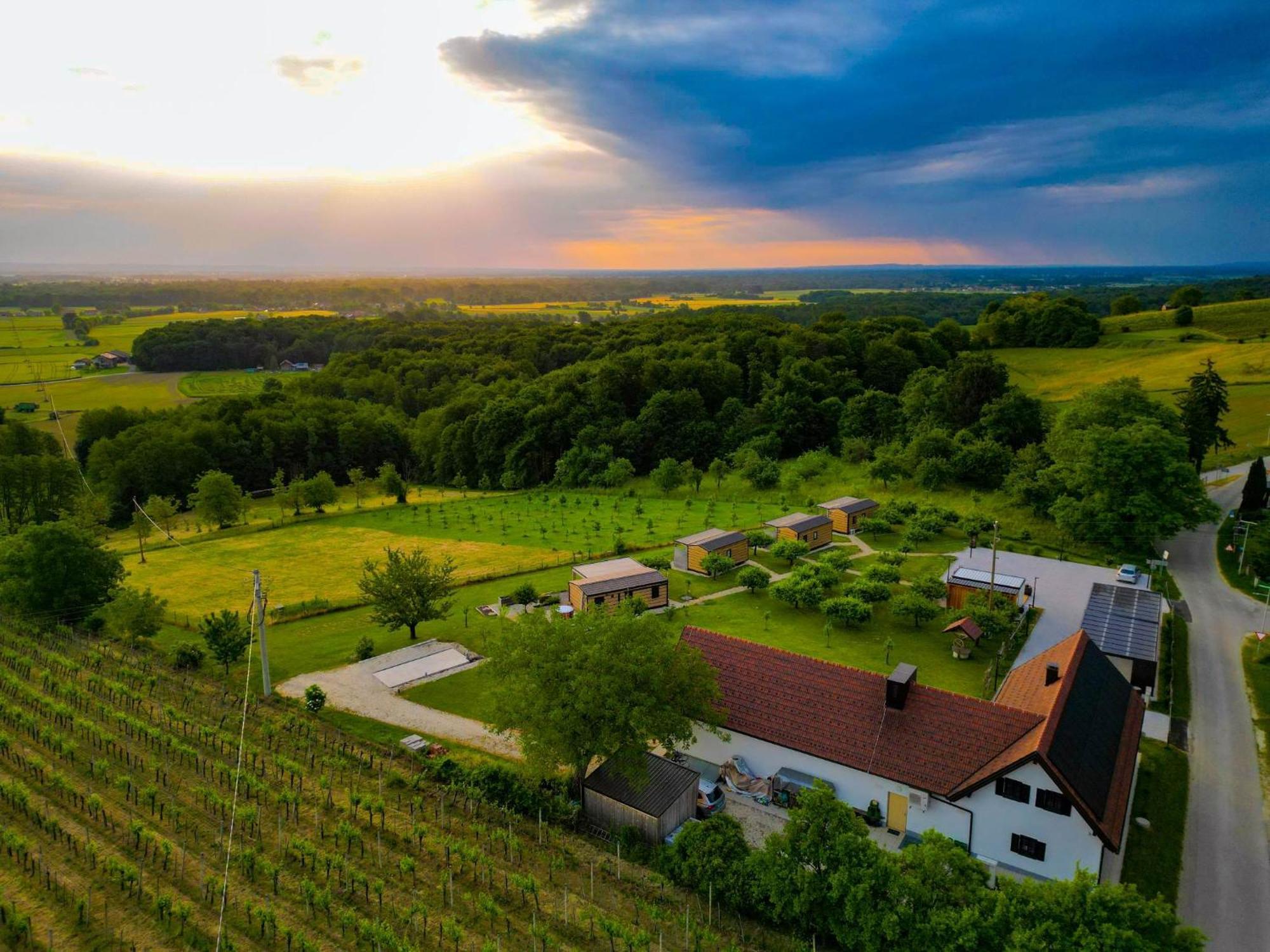 拉登齐Vinea Panonika Wine & Mind Retreat别墅 外观 照片